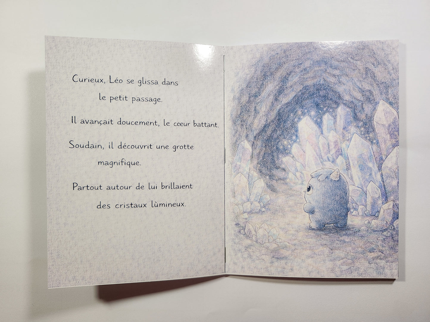Léo, le petit monstre au grand cœur – Livre jeunesse doux + planche de stickers