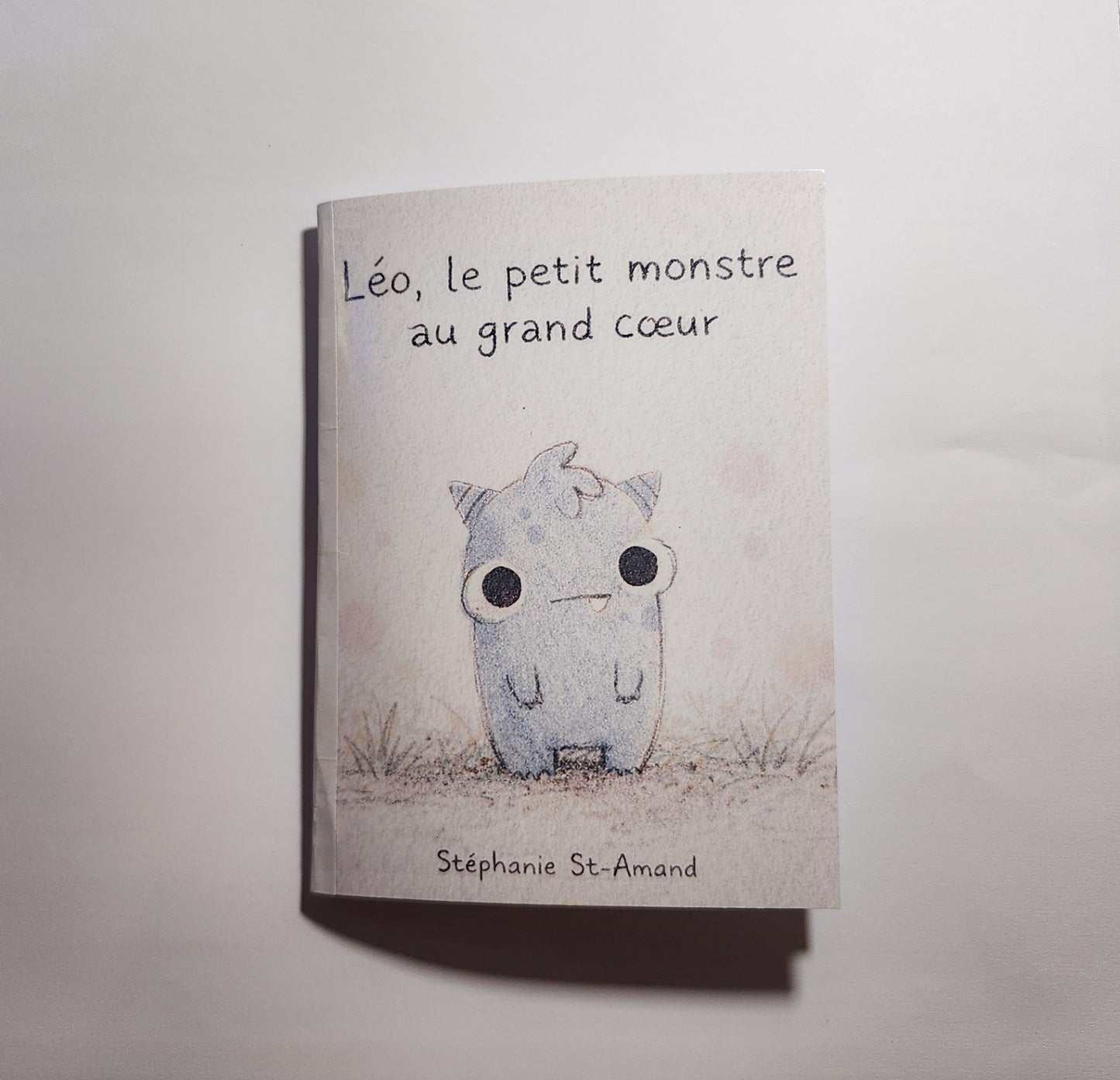 Léo, le petit monstre au grand cœur – Livre jeunesse doux + planche de stickers